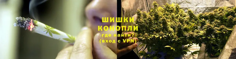 купить закладку  Анадырь  Конопля SATIVA & INDICA 